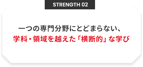 Strength 02 一つの専門分野にとどまらない、 学科・領域を越えた「横断的」な学び