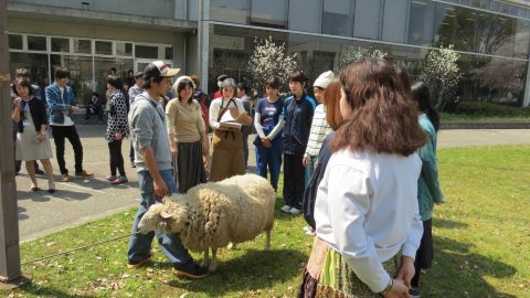 学生たちに羊の毛刈りについて説明する丸岡圭一氏（左）